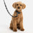 Eco Leather Pet Leash