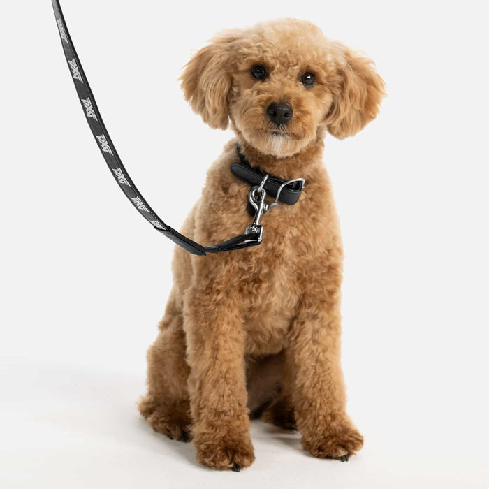 Eco Leather Pet Leash